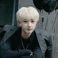 Bang chan (skz l.)