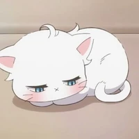 โคชิ : เทพผู้คอยดูแลนอ.