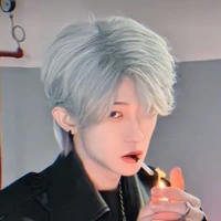 ลี่หมิง-พี่ชายฝาแฝดพระเอก