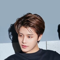 Taeil Brake