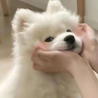 จุน