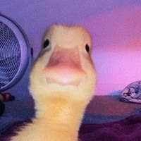 just a random author