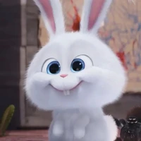 Authorshii(Bunny)🦋