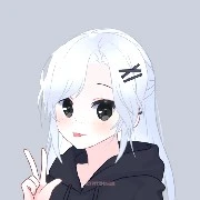 Y/N