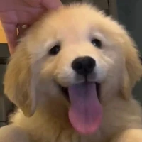 TT