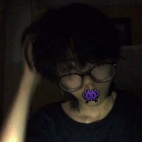 ซุง