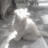 แอดค้าบ