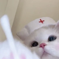 ✦𝑪𝒆𝒈𝒖𝒆𝒏𝒕𝒂 😑✦