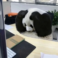 แอดมินน