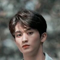 Jung Mark