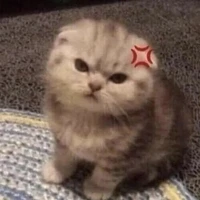 เเอดคนดีคนเดิมเพิ่มเติมคือชอบดองนิยาย