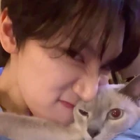 seo ten