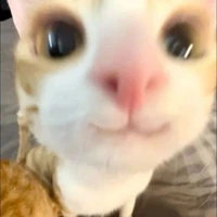 แอดเอง