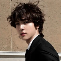 Jeon Seokjin(Alpha)