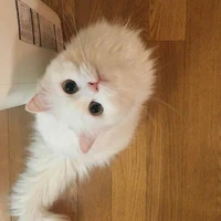 ซันไนท์🌅🌃