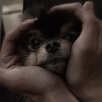 Kim Yeontan (Tae