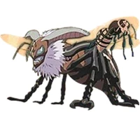 beeox