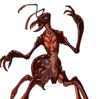 Sonoro