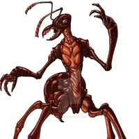 Zoni