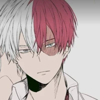 Shoto Todoroki