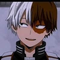 shoto todoroki ( gama pura)