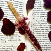 .•♫•♬•Lovey dovey author•♬•♫•.