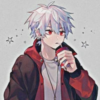 akio satoru