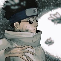 Shino In. [O.D]