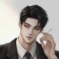 Aiden sin singbra
