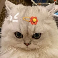 แอดเองจะใครล่ะ