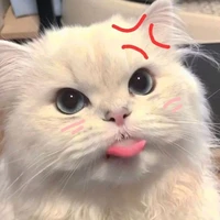 𝓟_𝓟𝓪𝓻𝓮 {แอดทึ}🐱