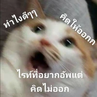 ไรท์