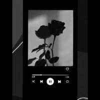 🎵🎶🎵🎶