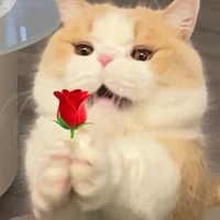 แอดเอ๋อ