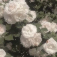 แอด