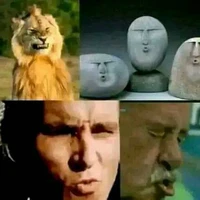 แอดเองมีไร