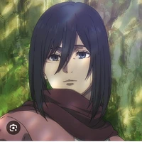 mikasa
