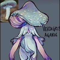 agaric