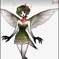 Brid