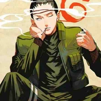 Shikamaru (alfa)