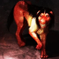 Smile Dog🐶