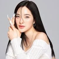 แม่พระเอก