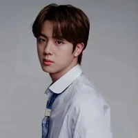 Seokjin (papa)