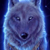 nochu(lobo de jk)