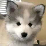นายอน