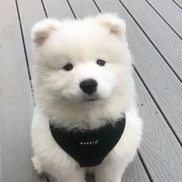 มาลิน//แมว ซีซ่า\\