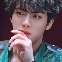 𝐊𝐢𝐦 Seokjin
