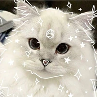 criadora