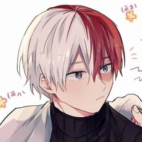 todoroki