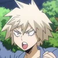 Mitsuki bakugou